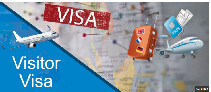 Visa consultant in timarpur